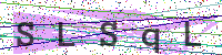 Enter Security Code