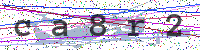 Enter Security Code