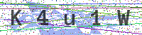Enter Security Code