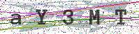 Enter Security Code