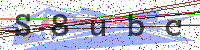 Sicherheitscode eingeben