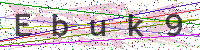 Enter Security Code