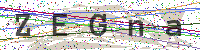 Enter Security Code