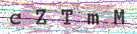 Enter Security Code