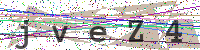 Enter Security Code