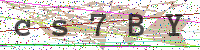 Enter Security Code