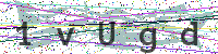 Enter Security Code