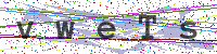Enter Security Code