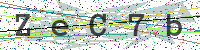 Enter Security Code