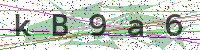 Enter Security Code