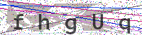 Enter Security Code