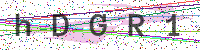 Enter Security Code