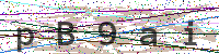 Sicherheitscode eingeben