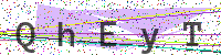 Enter Security Code