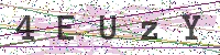 Enter Security Code
