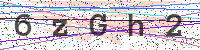 Enter Security Code