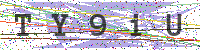 Enter Security Code