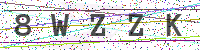 Enter Security Code