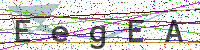 Enter Security Code