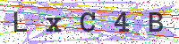 Enter Security Code