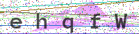Enter Security Code