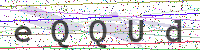 Enter Security Code