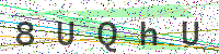 Enter Security Code