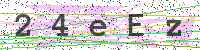 Enter Security Code