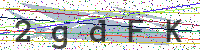 Enter Security Code