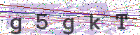 Enter Security Code
