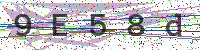 Enter Security Code