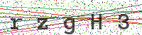 Enter Security Code