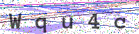Enter Security Code