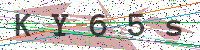 Enter Security Code
