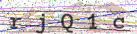 Enter Security Code