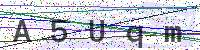 Sicherheitscode eingeben