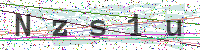 Enter Security Code