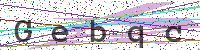 Enter Security Code