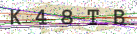 Enter Security Code