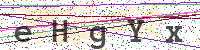 Enter Security Code