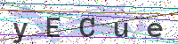 Enter Security Code