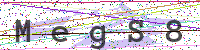 Enter Security Code