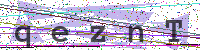 Enter Security Code