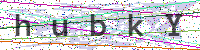 Enter Security Code