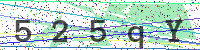 Enter Security Code