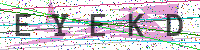 Enter Security Code