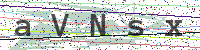 Enter Security Code
