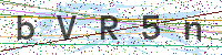 Enter Security Code