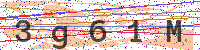 Enter Security Code