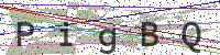 Sicherheitscode eingeben